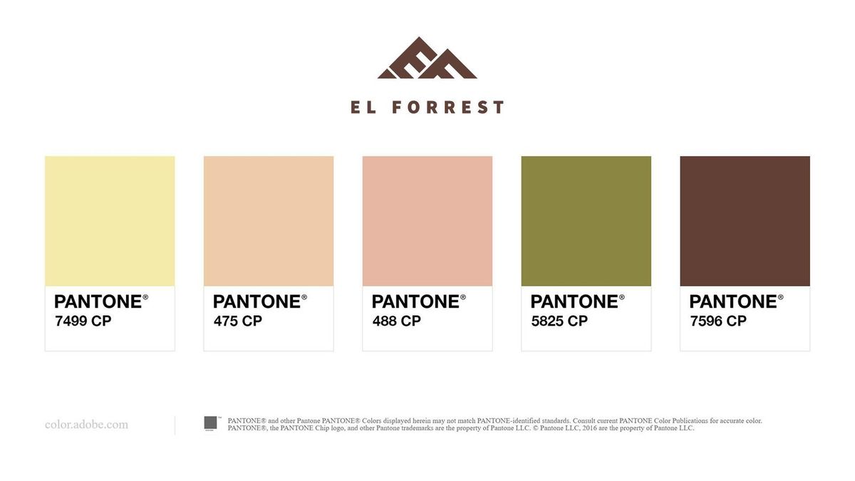 EL-Forrest Leather — visual 4
