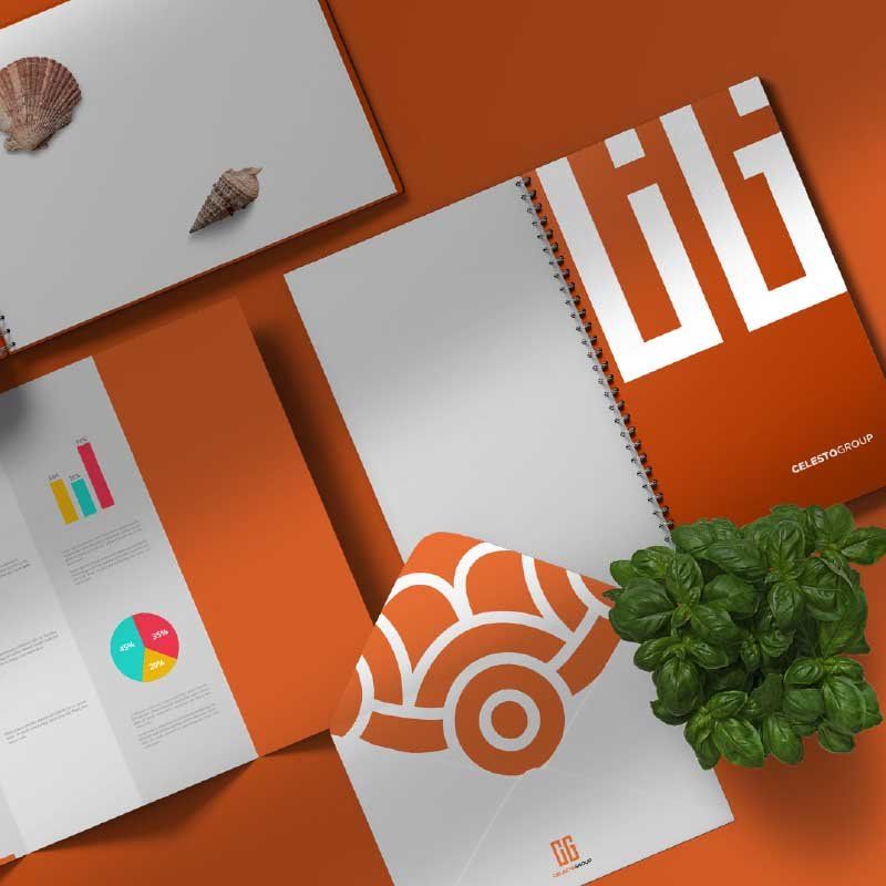 Raunaq PVC — visual 3