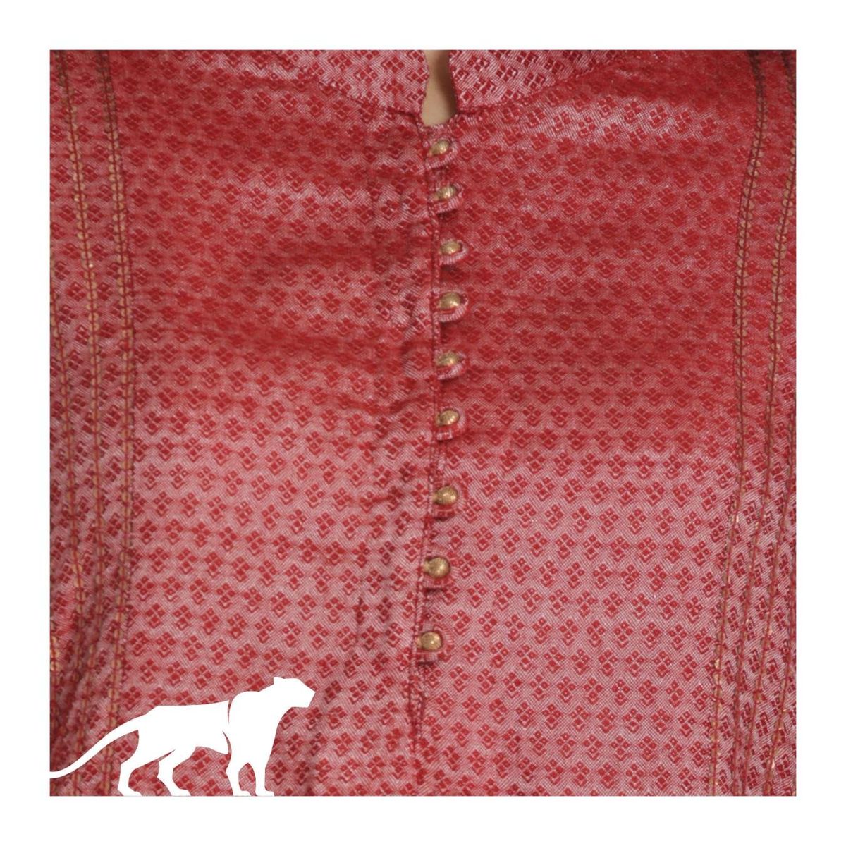Vyaghri — visual 8