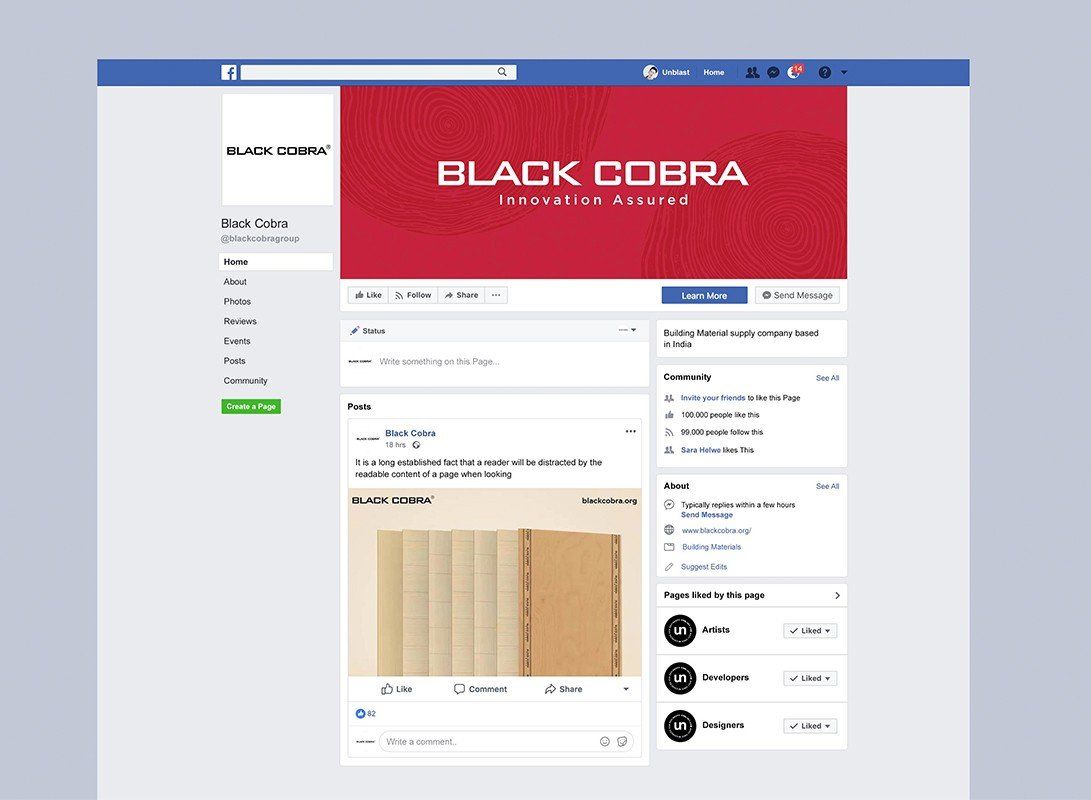 Black Cobra Plywood — visual 7