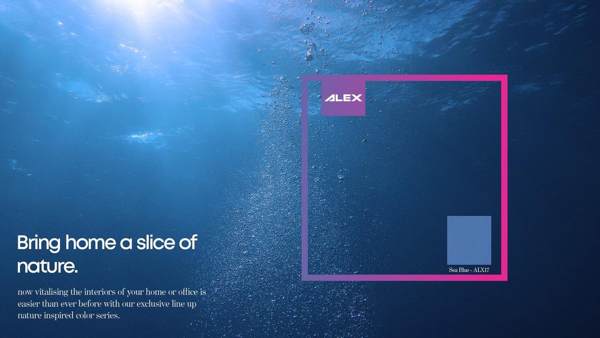 Alex Panels — visual 4