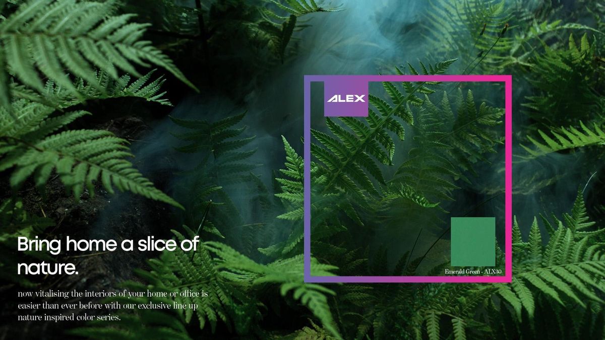 Alex Panels — visual 5