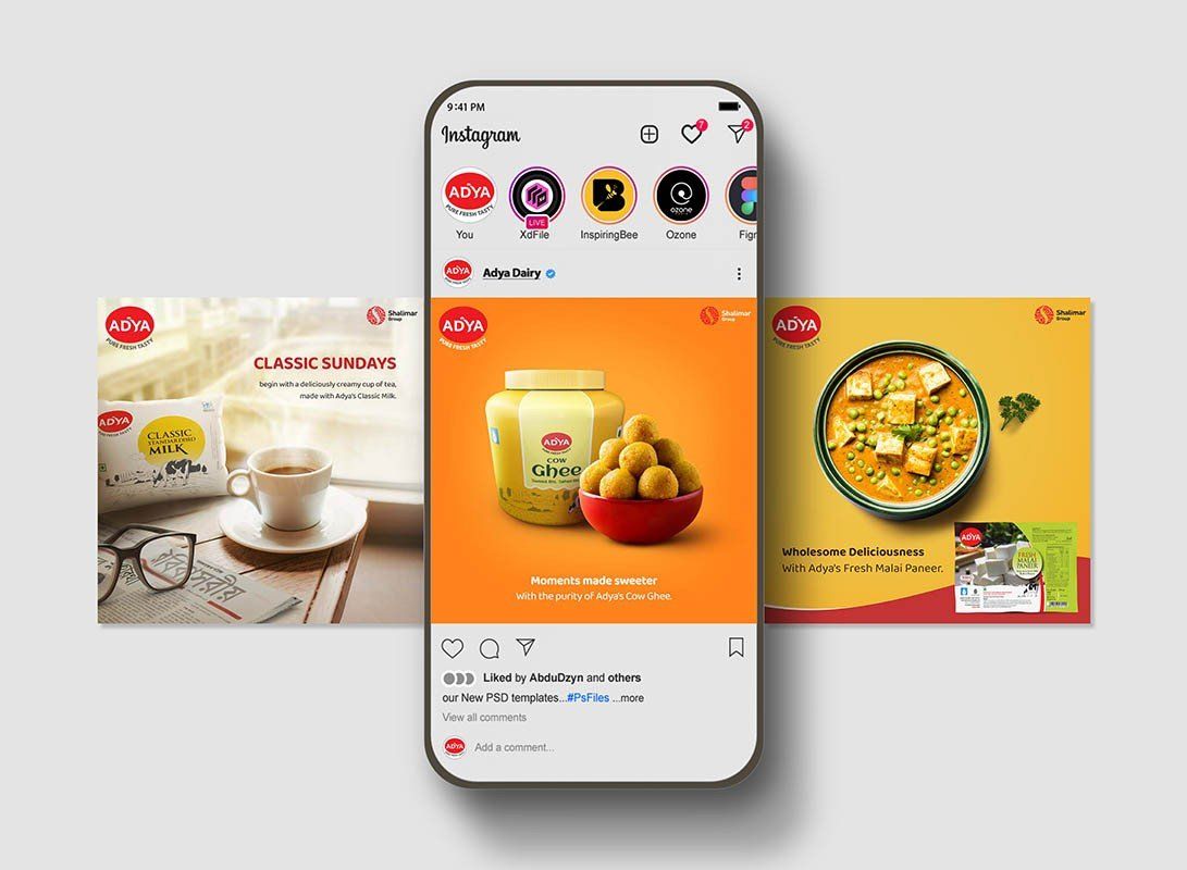 Adya Dairy — visual 1