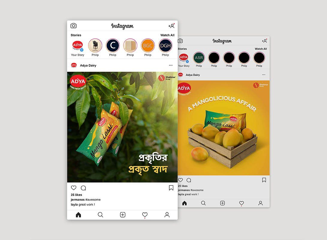 Adya Dairy — visual 2