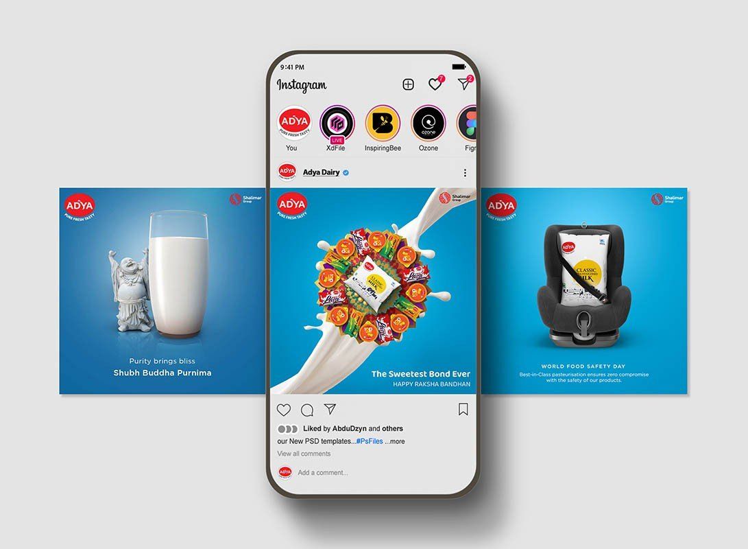 Adya Dairy — visual 6