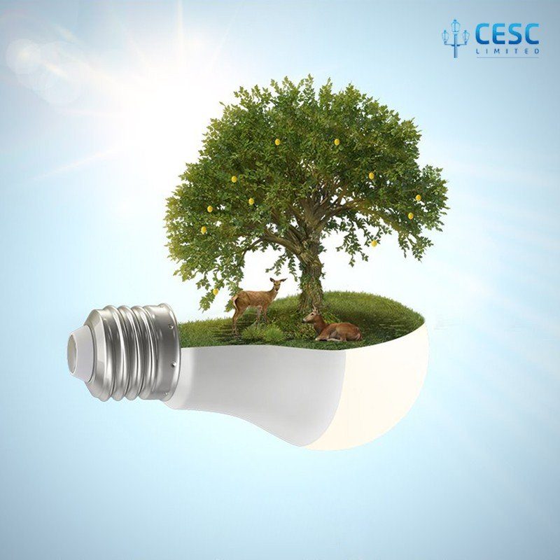CESC Ltd