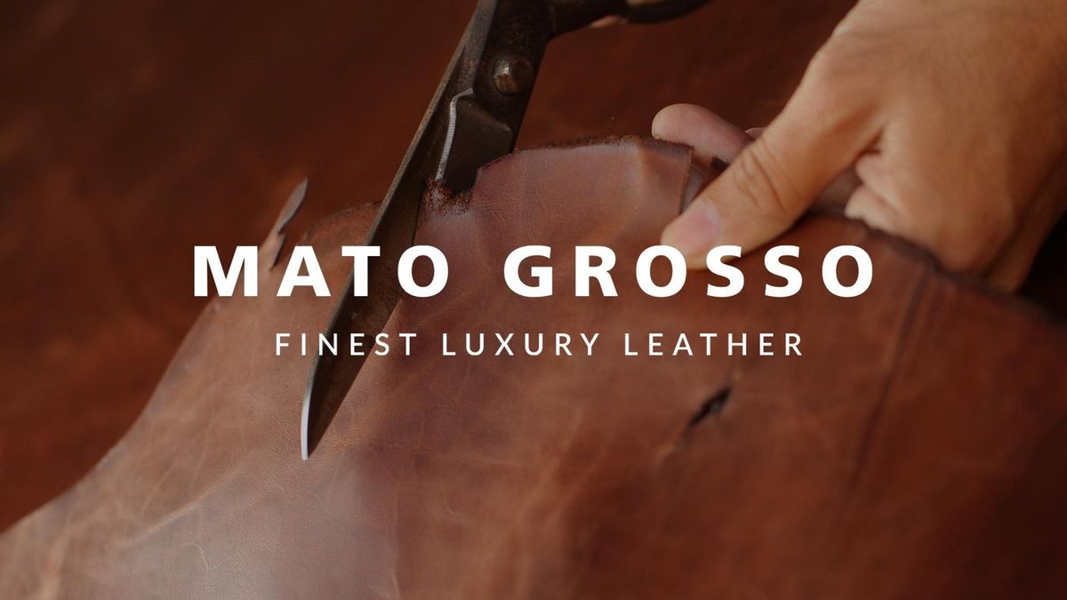 Mato Grosso — visual 4